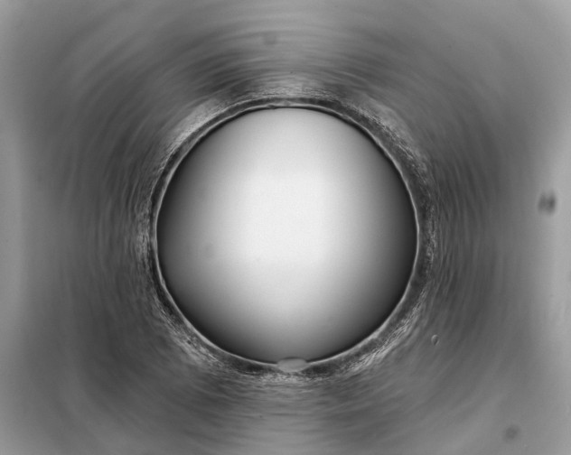 X0000098211073200805081129