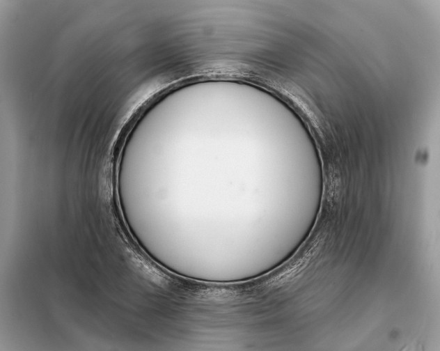 X0000098211075200805081129