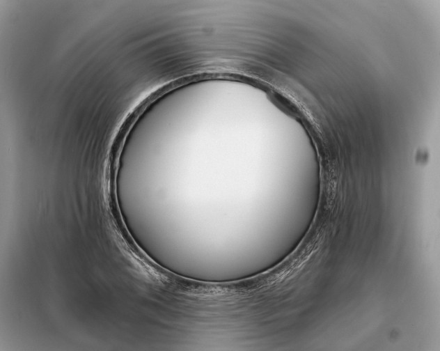 X0000098211076200805081129