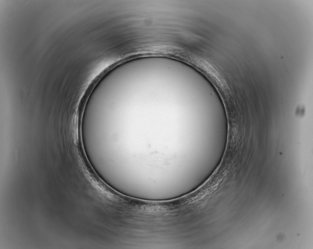 X0000098211079200805081129