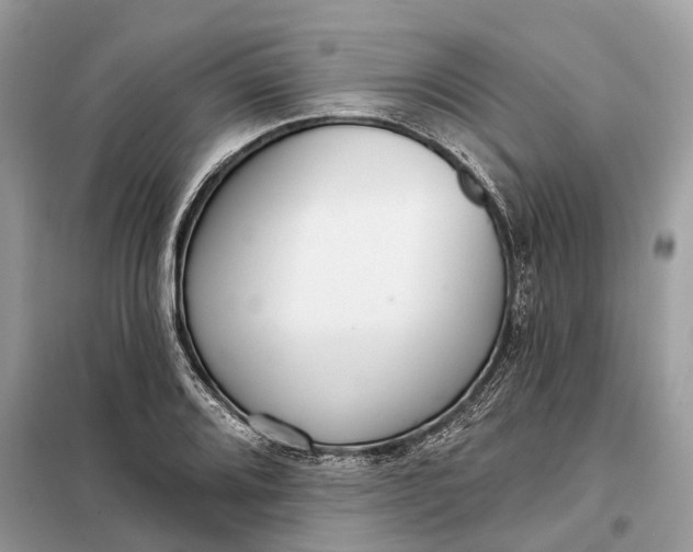 X0000098211080200805081129