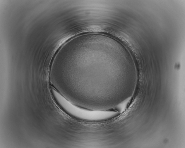 X0000098211081200805081129