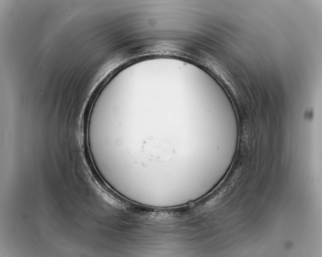 X0000098211082200805081129