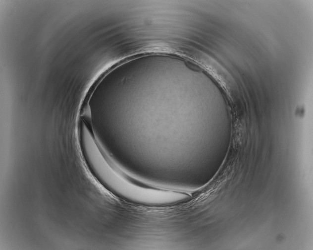 X0000098211084200805081129