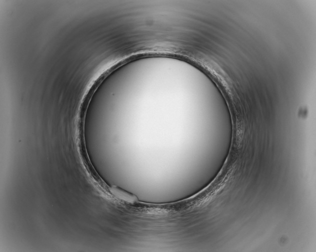 X0000098211085200805081129