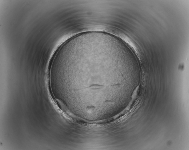 X0000098211088200805081129