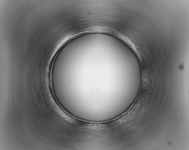 X0000098211091200805081129