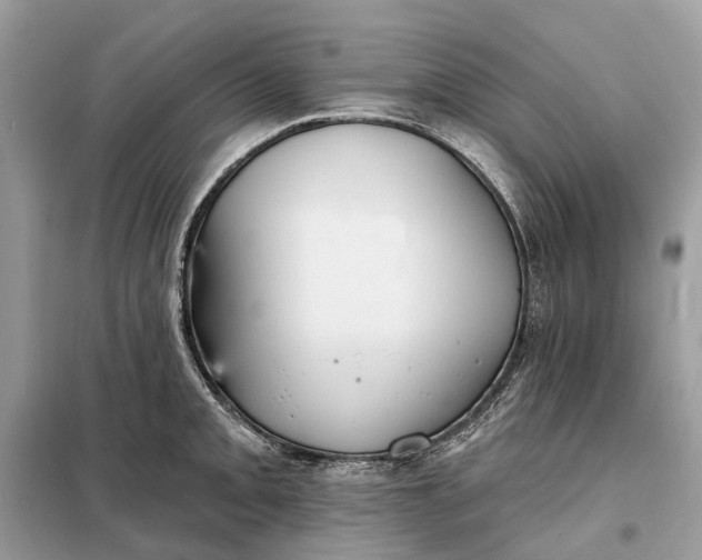 X0000098211093200805081129
