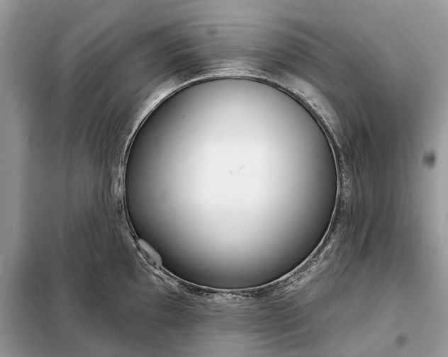 X0000098211097200805081129