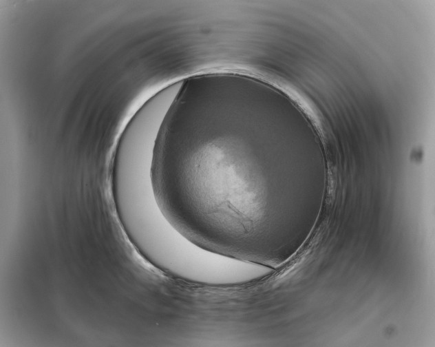X0000098211102200805081129