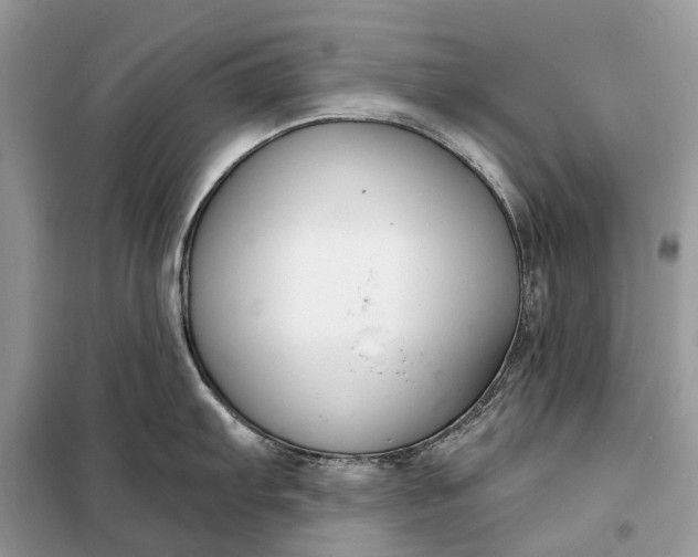 X0000098211103200805081129