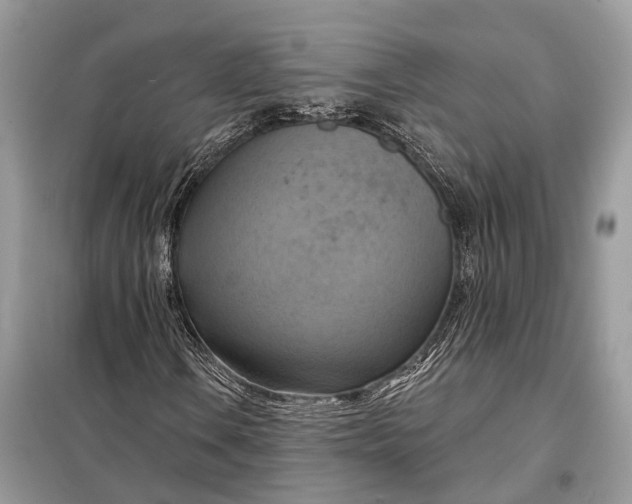 X0000098211106200805081128