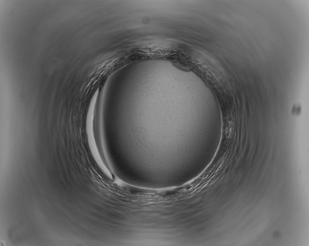X0000098211108200805081128