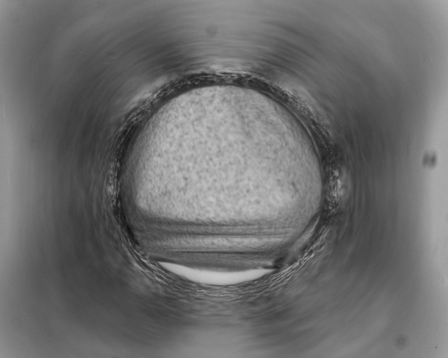 X0000098211110200805081128