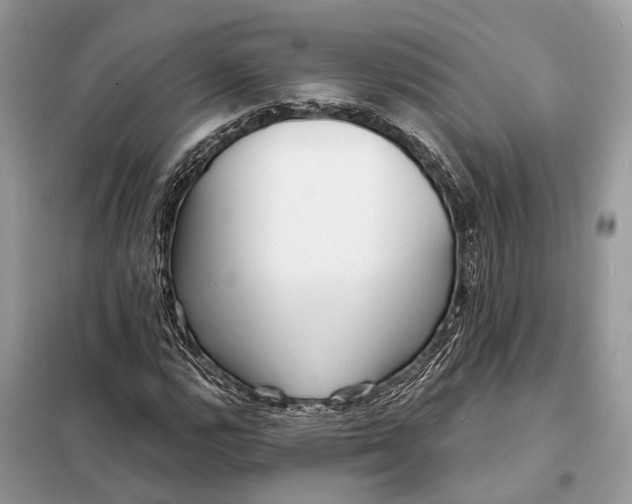 X0000098211112200805081128