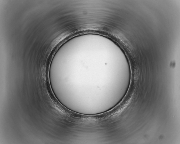 X0000098211113200805081128