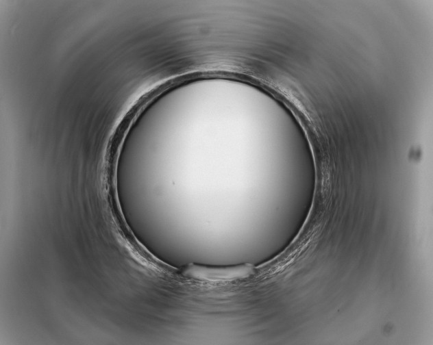 X0000098211116200805081128