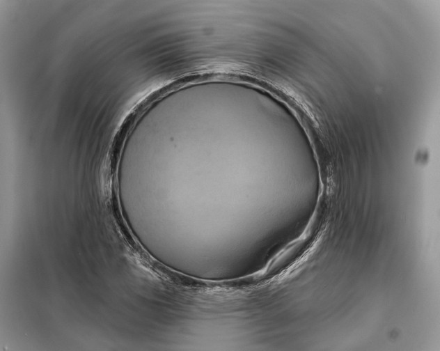 X0000098211117200805081128