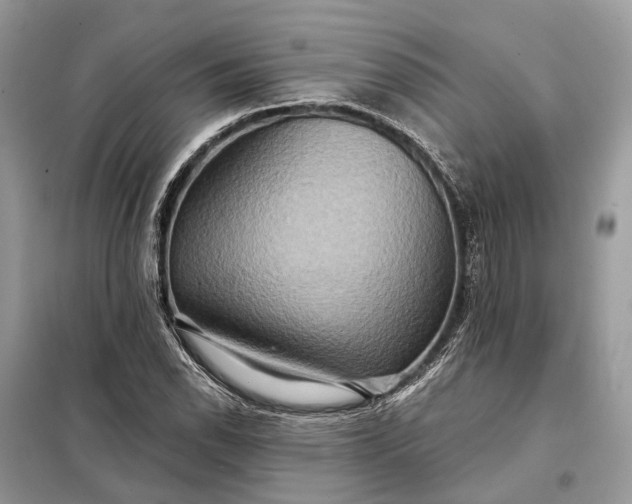 X0000098211118200805081128