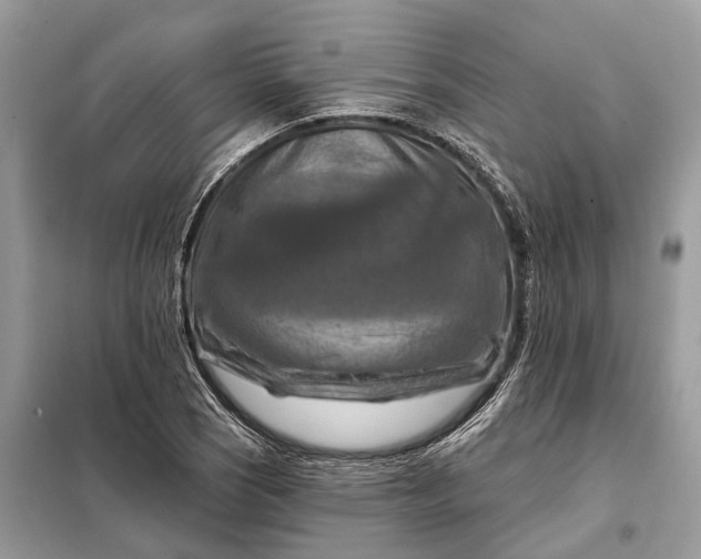 X0000098211121200805081128