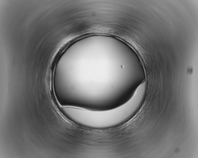 X0000098211123200805081128