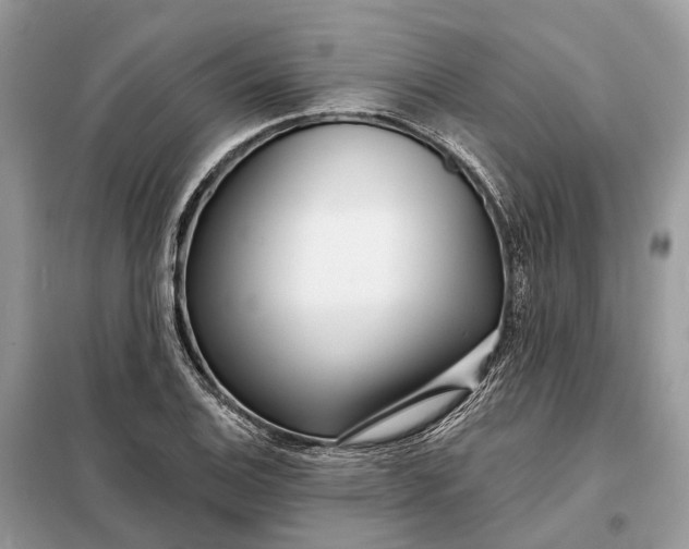 X0000098211124200805081128