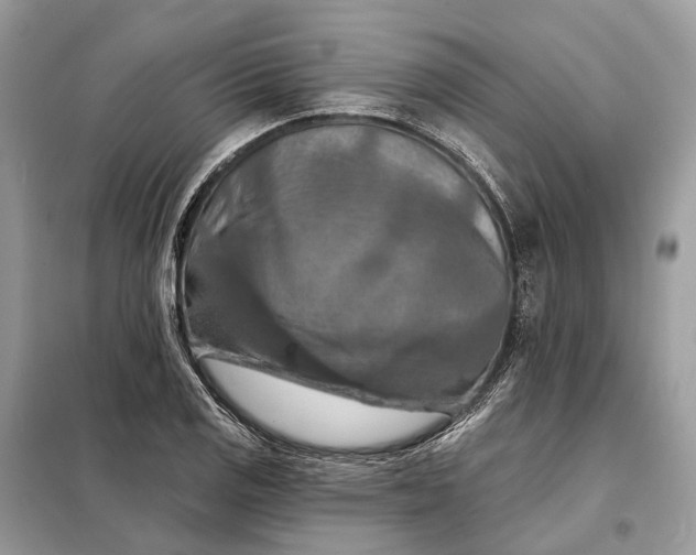 X0000098211125200805081128