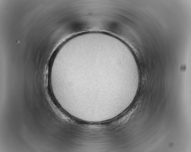 X0000098211126200805081128