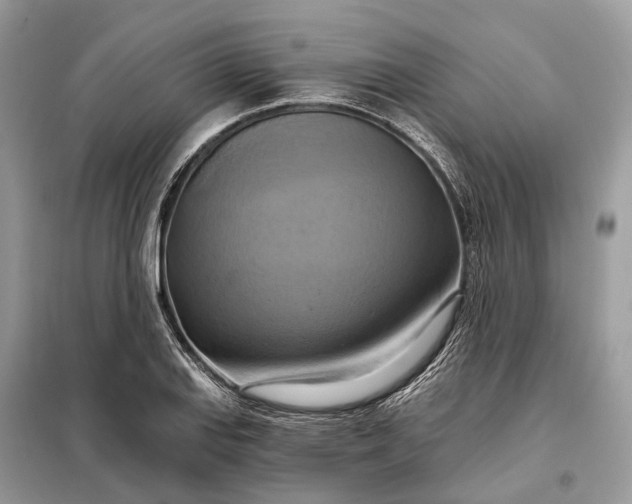 X0000098211127200805081128