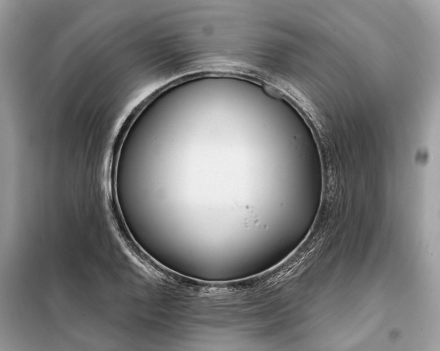 X0000098211128200805081128