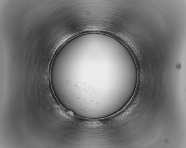 X0000098211129200805081128