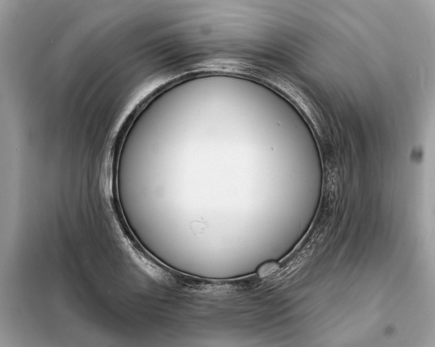 X0000098211131200805081128