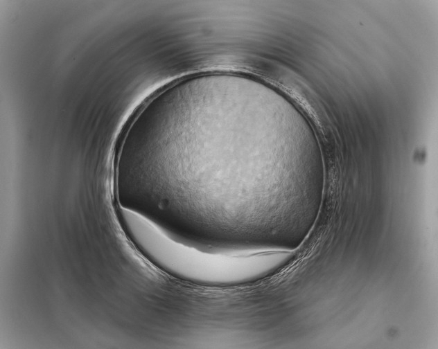 X0000098211132200805081128