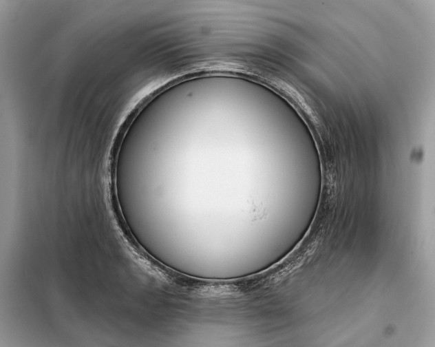 X0000098211133200805081128