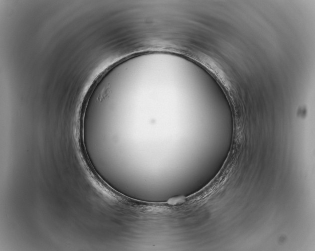 X0000098211136200805081129