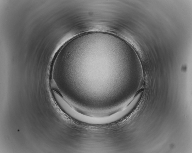X0000098211138200805081129