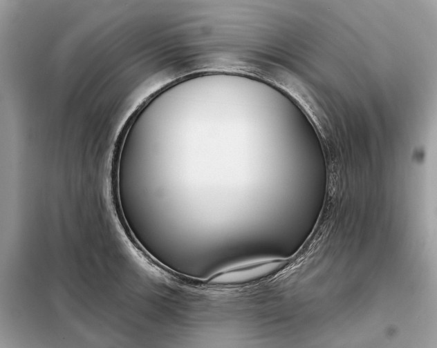X0000098211139200805081129
