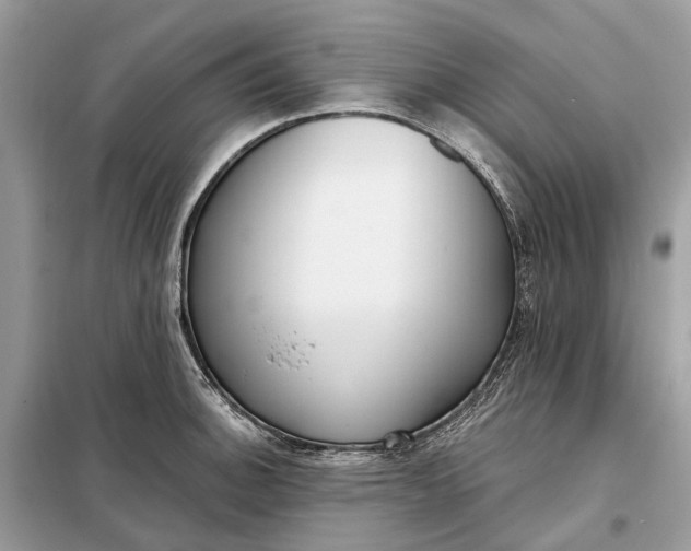 X0000098211140200805081129