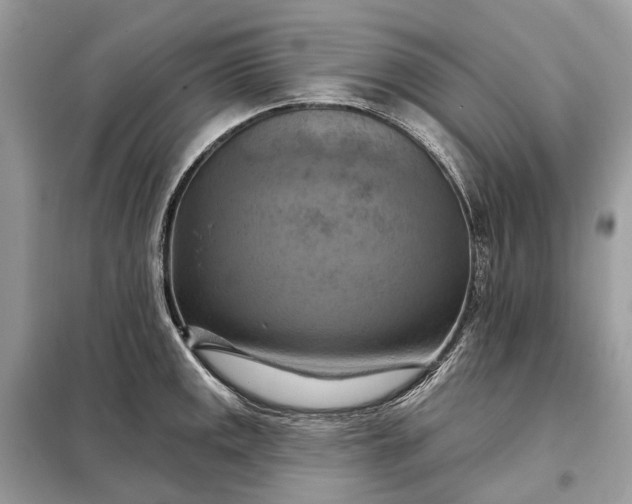 X0000098211141200805081129
