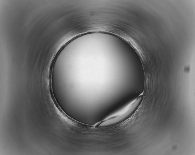 X0000098211143200805081129
