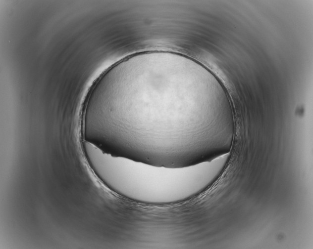X0000098211144200805081129