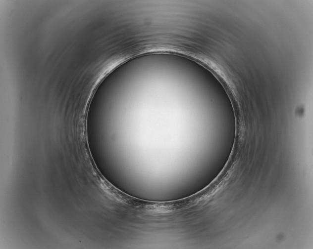 X0000098211145200805081129