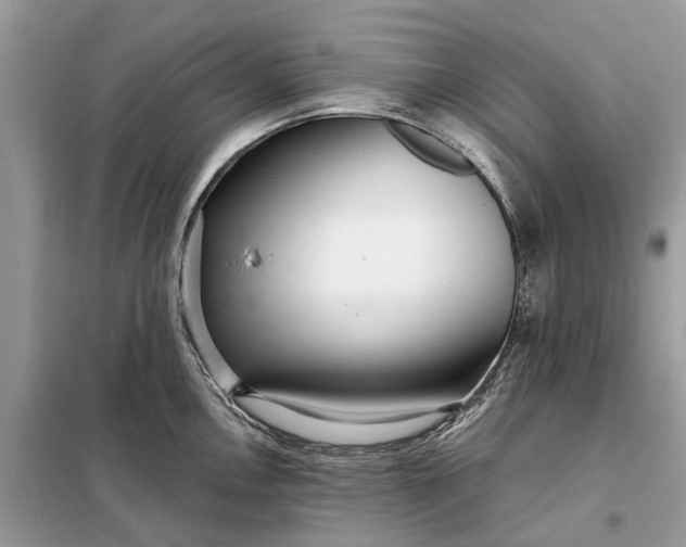 X0000098211146200805081129