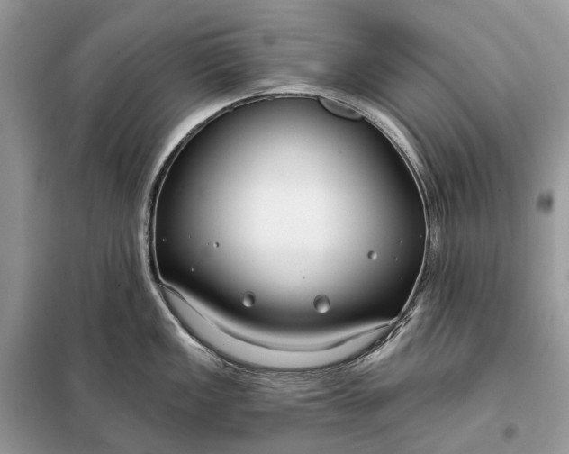 X0000098211149200805081129
