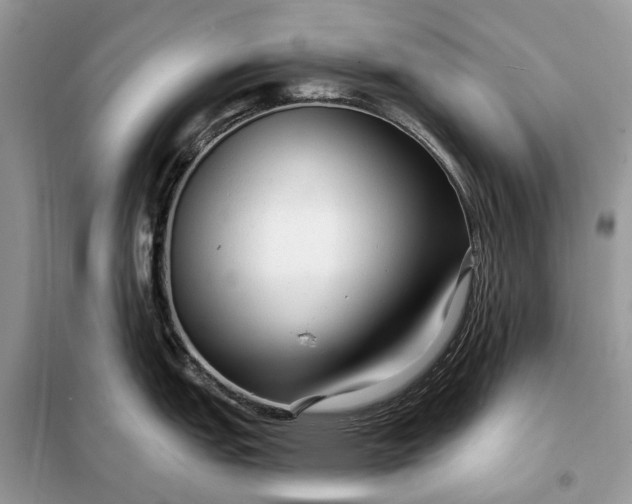 X0000098211151200805081129