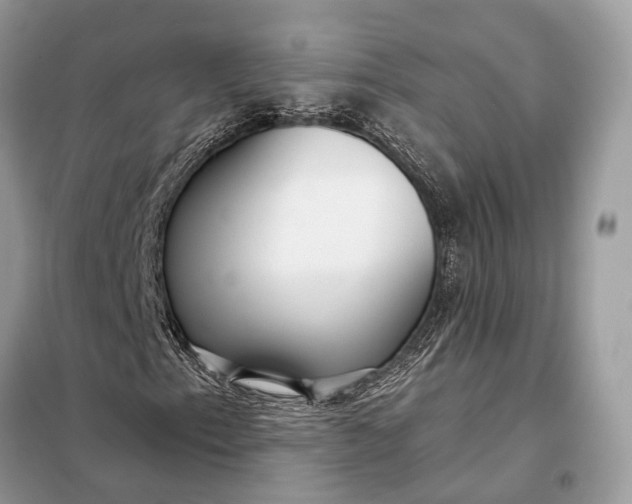 X0000098211153200805081128