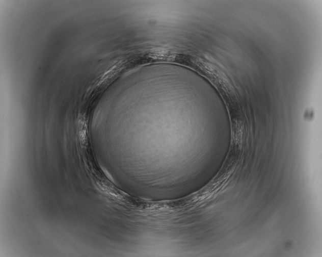 X0000098211154200805081128