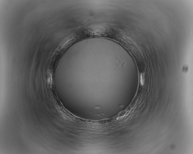 X0000098211155200805081128