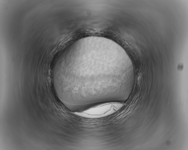 X0000098211156200805081128