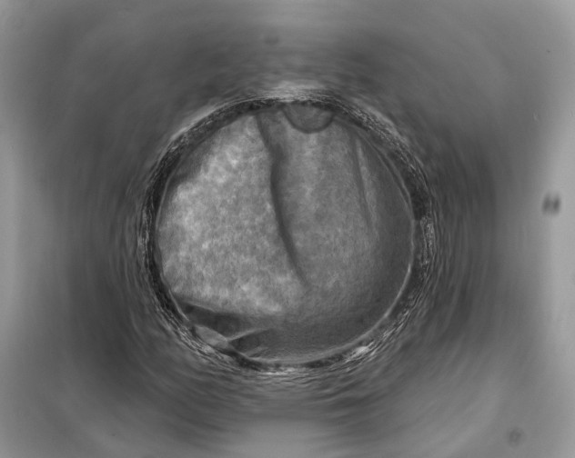 X0000098211158200805081128